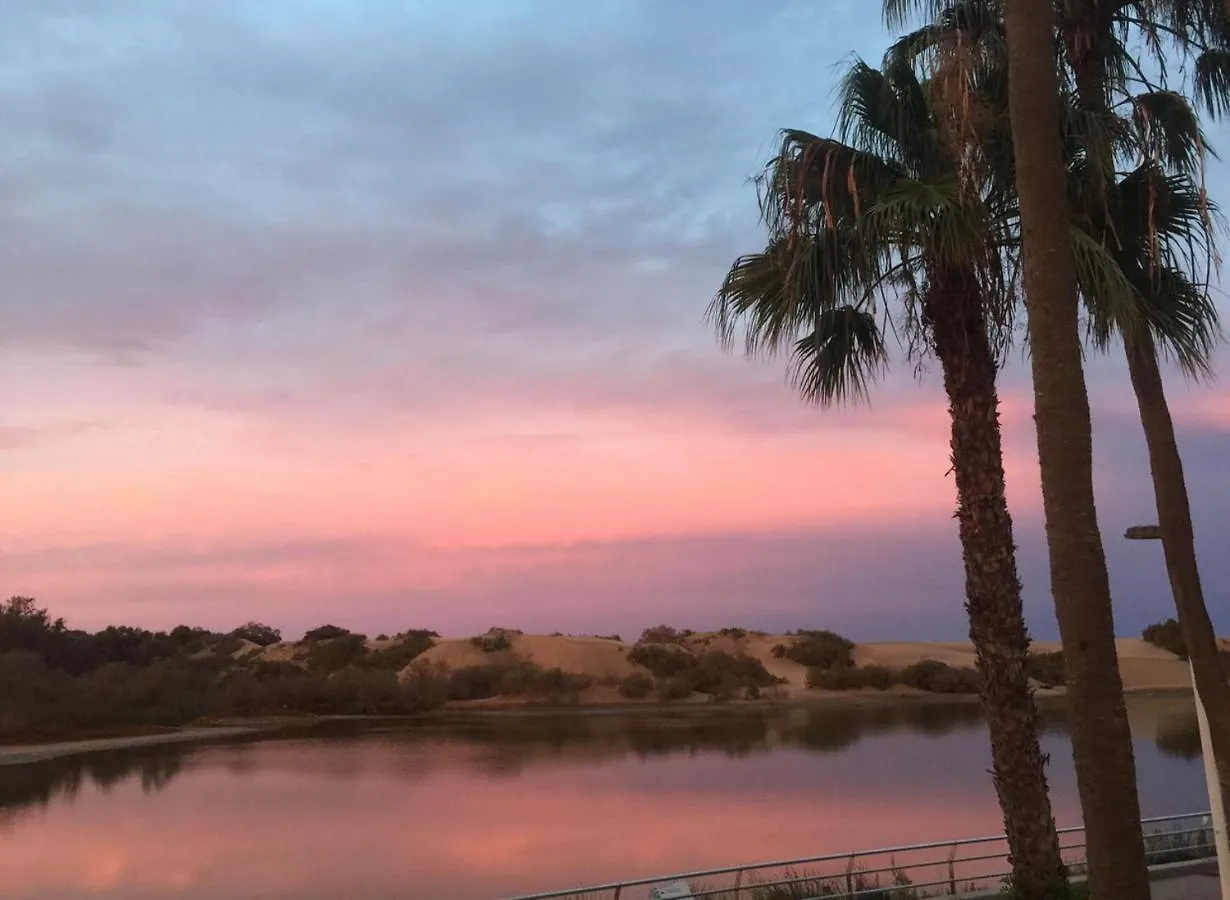 Apartamento Oasis Palmeras 4 San Bartolome de Tirajana  Spain